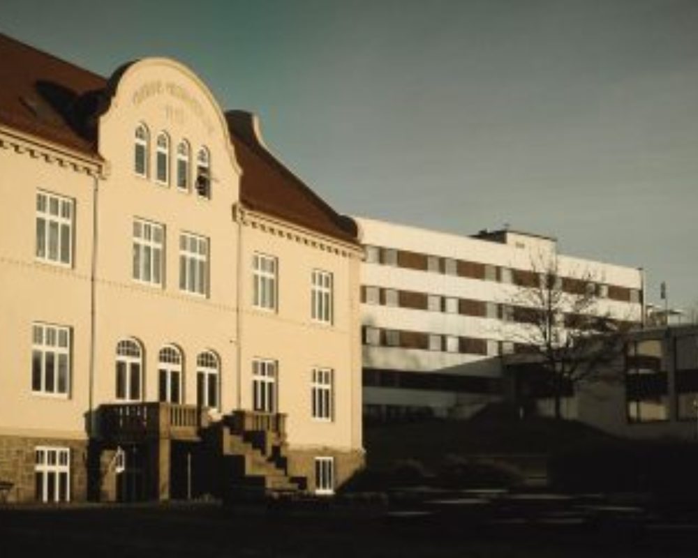 Fjellhaug bibliotek 1 700x254
